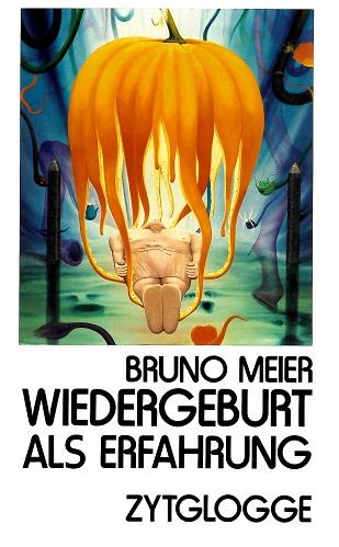 Meier, Wiedergeburt als Erfahrung.