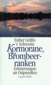 Schwerin, Kormorane Brombeerranken.