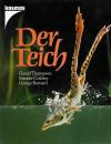 Thompson, Der Teich
