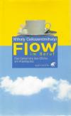 Csikszentmihalyi, Flow im Beruf