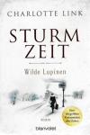 Link, Sturmzeit